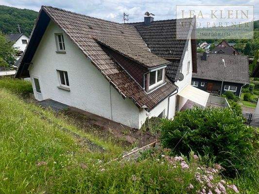 Blick aus dem Garten