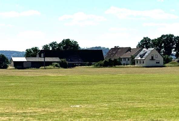 umgeben von Grünland