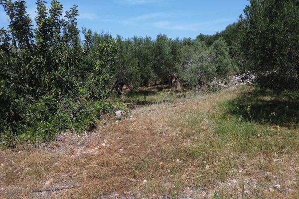 Kreta, Kalathas: Grundstück mit Meerblick in der Nähe des Strandes zu verkaufen