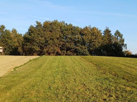 Mehrnbach Bauernhöfe, Landwirtschaft, Mehrnbach Forstwirtschaft