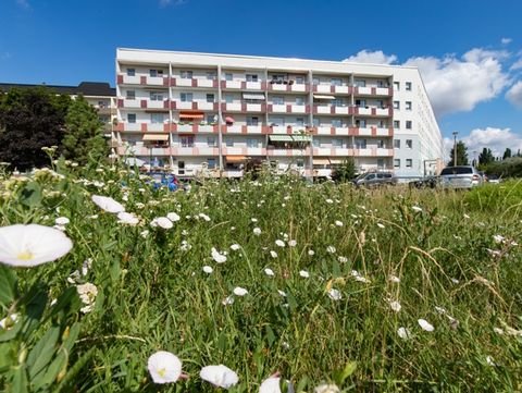 Magdeburg, 1. Etage links Wohnungen, Magdeburg, 1. Etage links Wohnung mieten