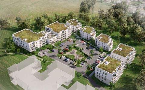 Reinfeld Wohnungen, Reinfeld Wohnung mieten