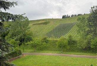 Aussicht