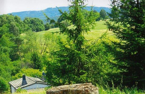 Thür. Wald-Landschaft