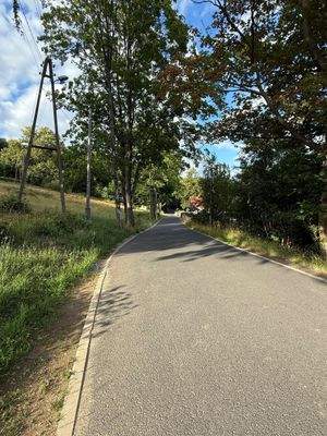 Asphaltierte Zufahrtsstraße