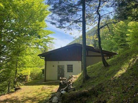 bewaldeter Grund, Hausrückseite