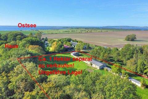 Schaprode Häuser, Schaprode Haus kaufen