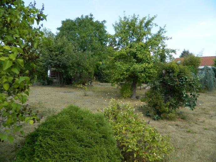 Baugrundstück Werneuchen - Wohnen in der schönen Stienitzaue