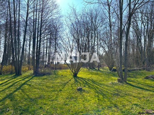 https://d2archx3akf346.cloudfront.net/promotion_image_wm_maija/662823/67fe280661e3e068842547.JPG
