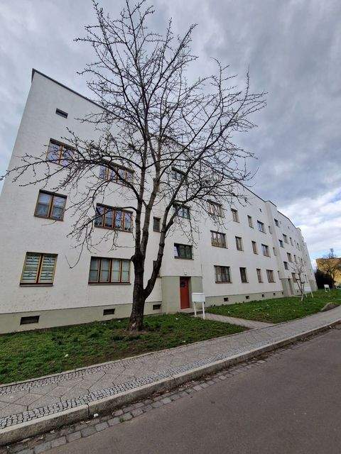 Magdeburg Wohnungen, Magdeburg Wohnung mieten