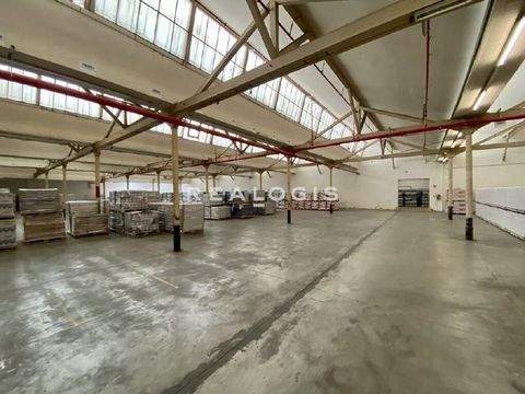 Steinfurt Halle, Steinfurt Hallenfläche