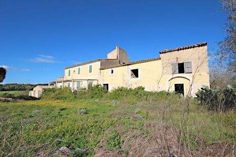 Montuiri Häuser, Montuiri Haus kaufen