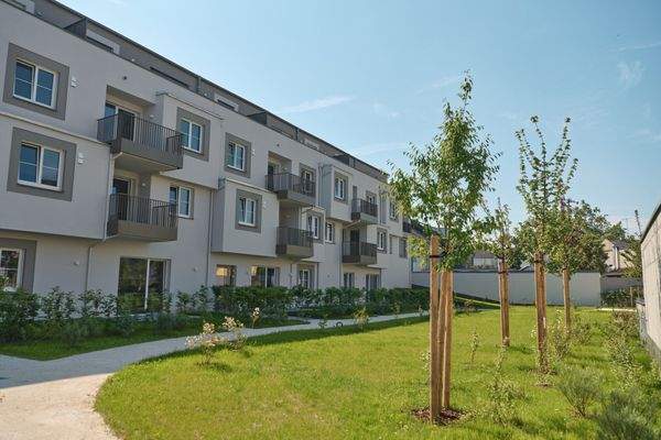 Eferdinger_Straße_Wels_Images_6274