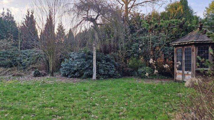 Das Baugrundstück am 19.03.2026