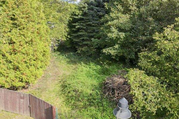 Grundstückseinfahrt Luftbild