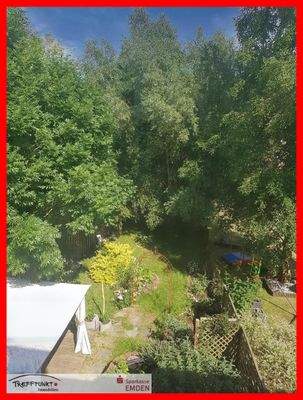 Blick in den Garten (Sommer)