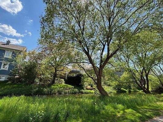 Aussicht auf Umgebung