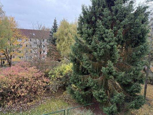 Ausblick aus dem Wohnzimmer