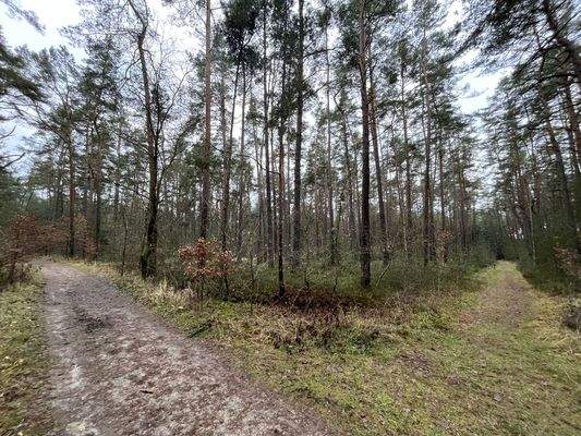 Wege an der nördlichen  und östlichen Grenze