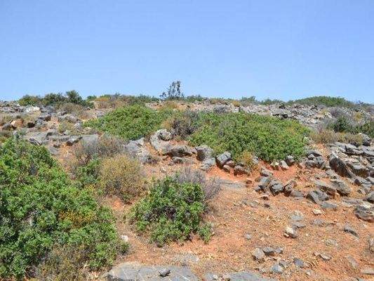 Kreta, Elounda: Großes, erstklassiges Grundstück in erster Meereslinie zu verkaufen