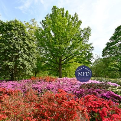 7-Rhododendronpark-Dresden.jpg