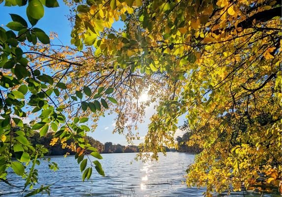 Impressionen Zernsdorfer Lankensee