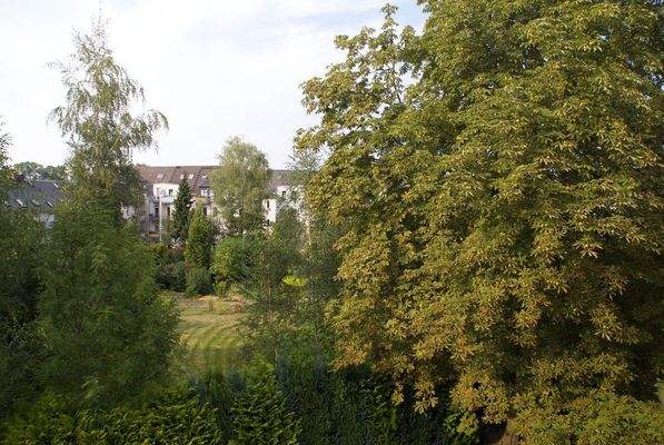 Blich ins grüne.jpg