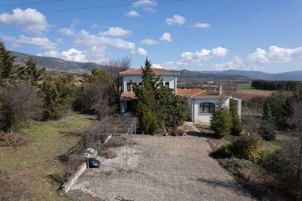 Krinides-Tsiriktsidou 23-02-2024-5.jpg