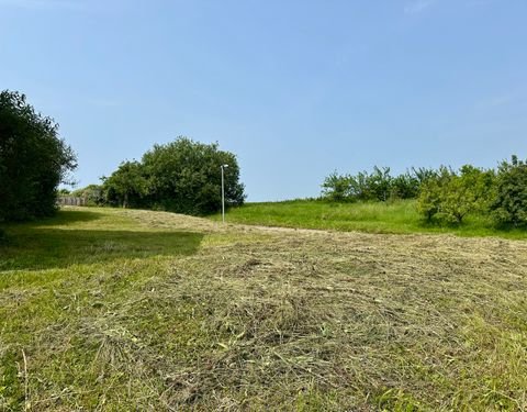 Friedrichshafen / Kluftern Grundstücke, Friedrichshafen / Kluftern Grundstück kaufen