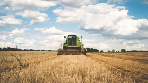 Detmold Bauernhöfe, Landwirtschaft, Detmold Forstwirtschaft