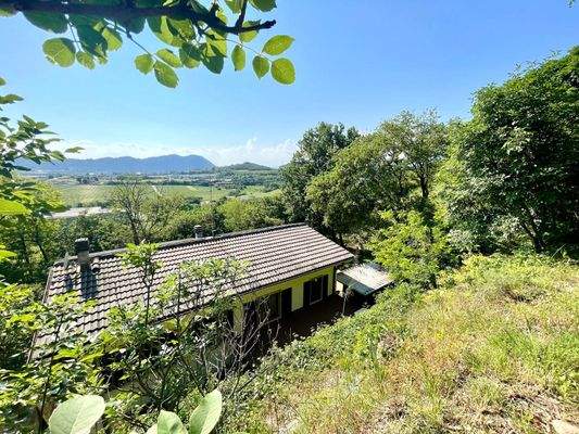 WhatsApp Image 2025-05-14 at 18.32.42 (1).jpeg