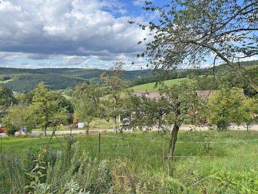 Wiese bzw. Bauplätze am Haus