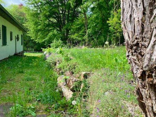 Grundstück mit Plateau Blick zum Weg 2.jpeg