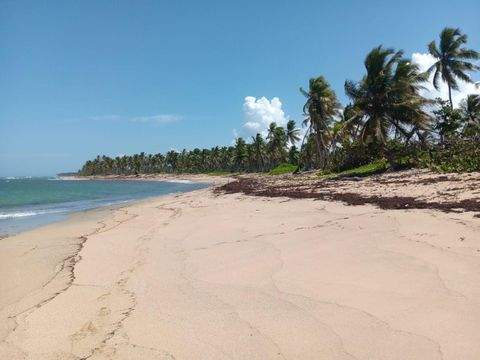 Las Lagunas de Nisibón Bauernhöfe, Landwirtschaft, Las Lagunas de Nisibón Forstwirtschaft