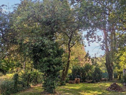 Grundstück Ansicht II