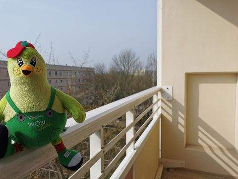 Magdeburg Wohnungen, Magdeburg Wohnung mieten