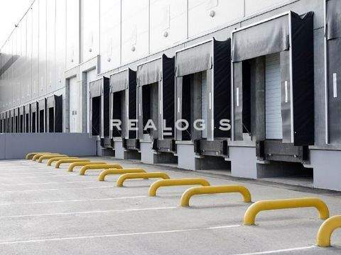 Freiburg im Breisgau Halle, Freiburg im Breisgau Hallenfläche