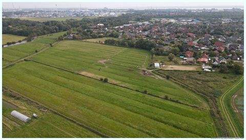 Brunsbüttel Bauernhöfe, Landwirtschaft, Brunsbüttel Forstwirtschaft