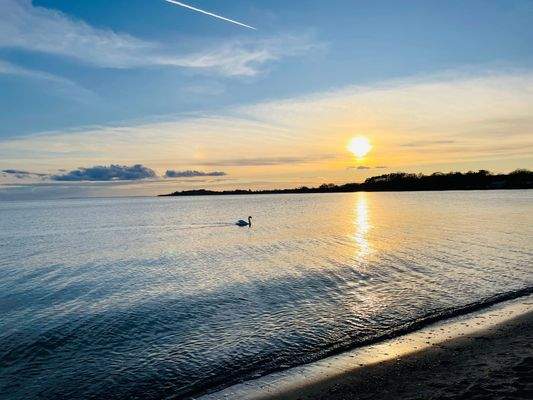 Alt Reddevitz im April.jpeg