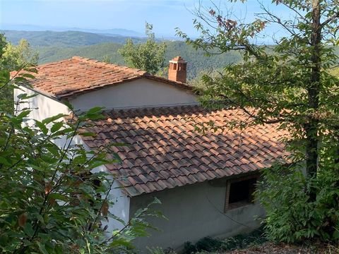 Massa Marittima Häuser, Massa Marittima Haus kaufen