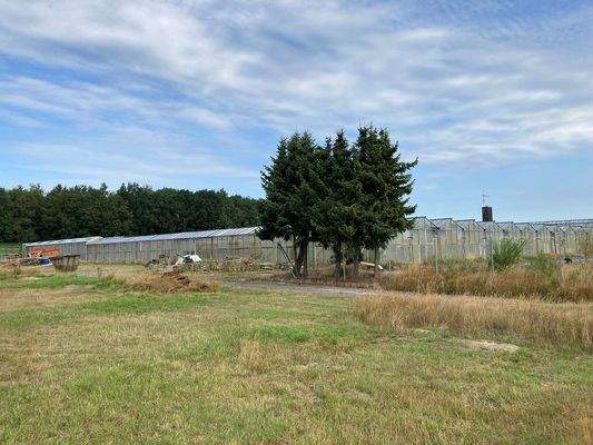 Gewächshäuser alt Rückseite