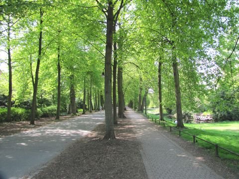 Münster Wohnungen, Münster Wohnung mieten