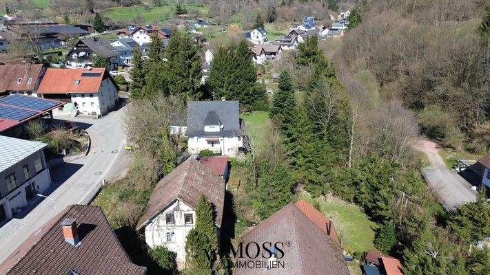 Im Hintergrund 1. das Baugrundstück