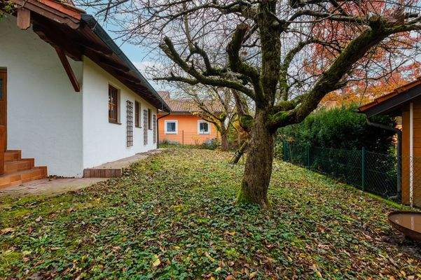 Schöner Baumbestand