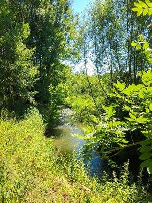 Wesenitz am benachbarten WGP