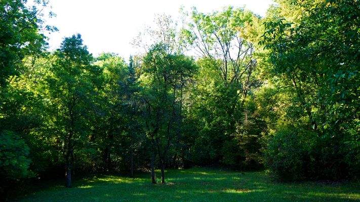 Im unteren Teil gehört noch eine kleine Waldfläche zum Grundstück