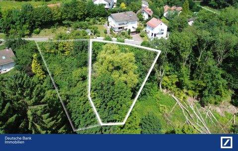 Heiligkreuzsteinach Grundstücke, Heiligkreuzsteinach Grundstück kaufen