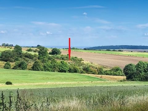 Obermehler Bauernhöfe, Landwirtschaft, Obermehler Forstwirtschaft