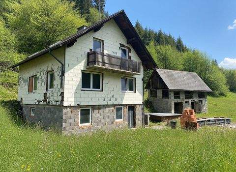Dürnstein in der Steiermark Häuser, Dürnstein in der Steiermark Haus kaufen