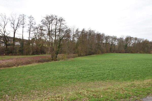 100m entfernter Feldrand